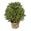 Vickerman Prelit Artificial Christmas Bush (627679)